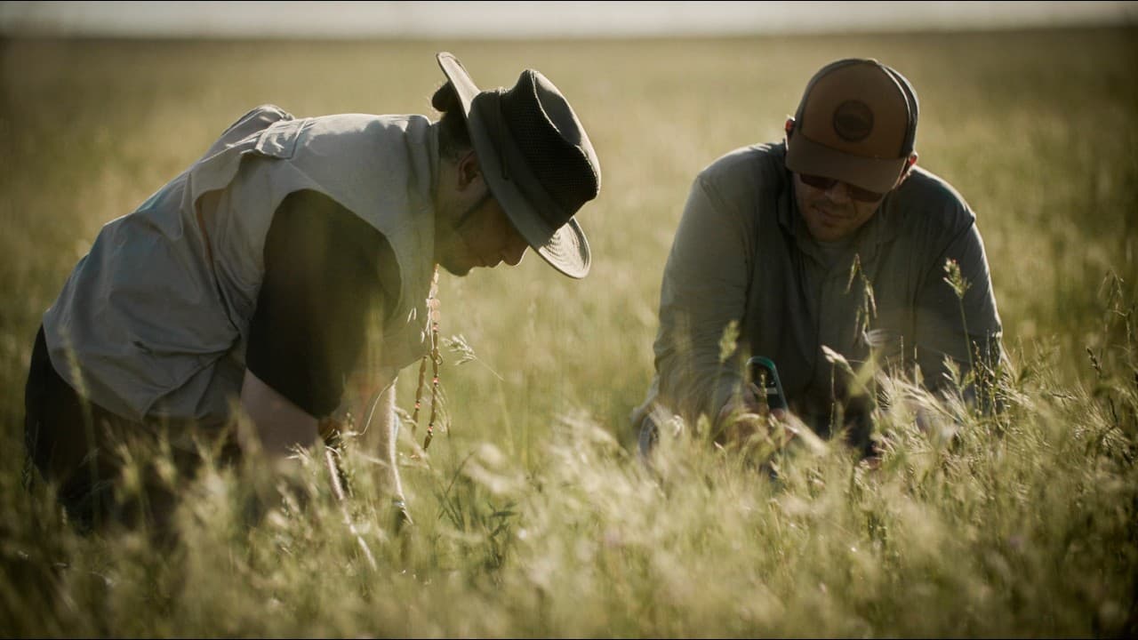 Bringing Momi Jokoj Home: A Film for the Land Back Campaign